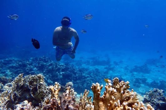 Ras Mohamed & White Island Boat Trip