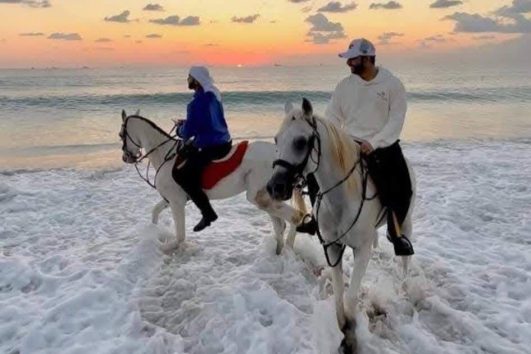 Beach & Desert Horse Riding Adventure in Sharm El Sheikh